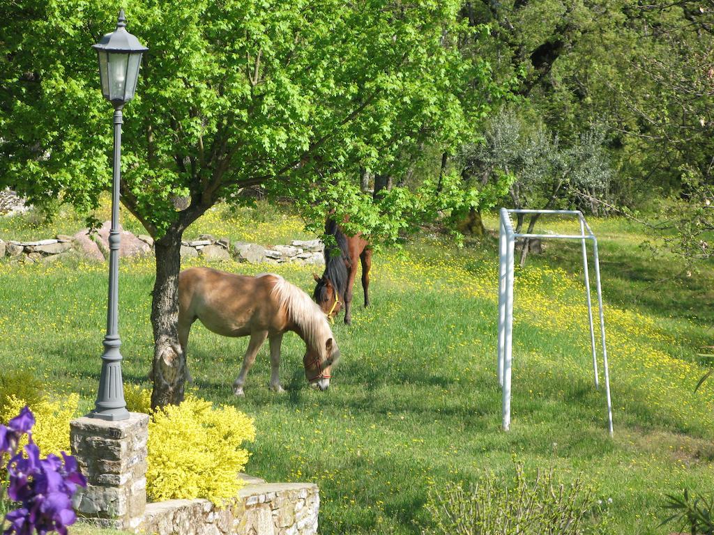 La Ghiandaia Casa Vacanza Lucolena in Chianti Kültér fotó