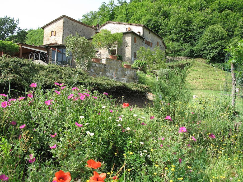La Ghiandaia Casa Vacanza Lucolena in Chianti Kültér fotó